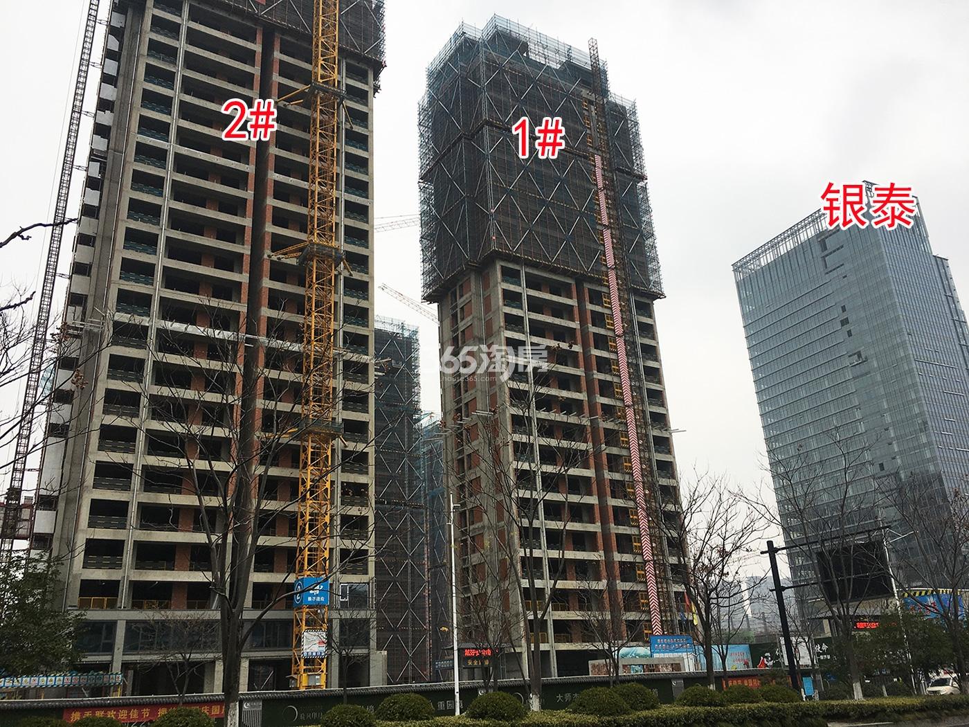 2020年1月绿城晓风印月1、2号楼实景