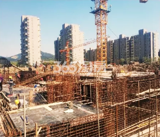 2019年4月秋实宸悦5号楼施工实景