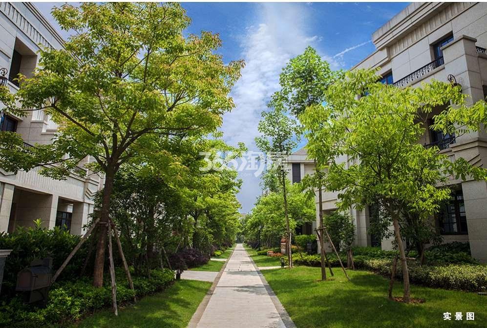 幸福紫蓬小筑住宅区实景图（2019.7.9）