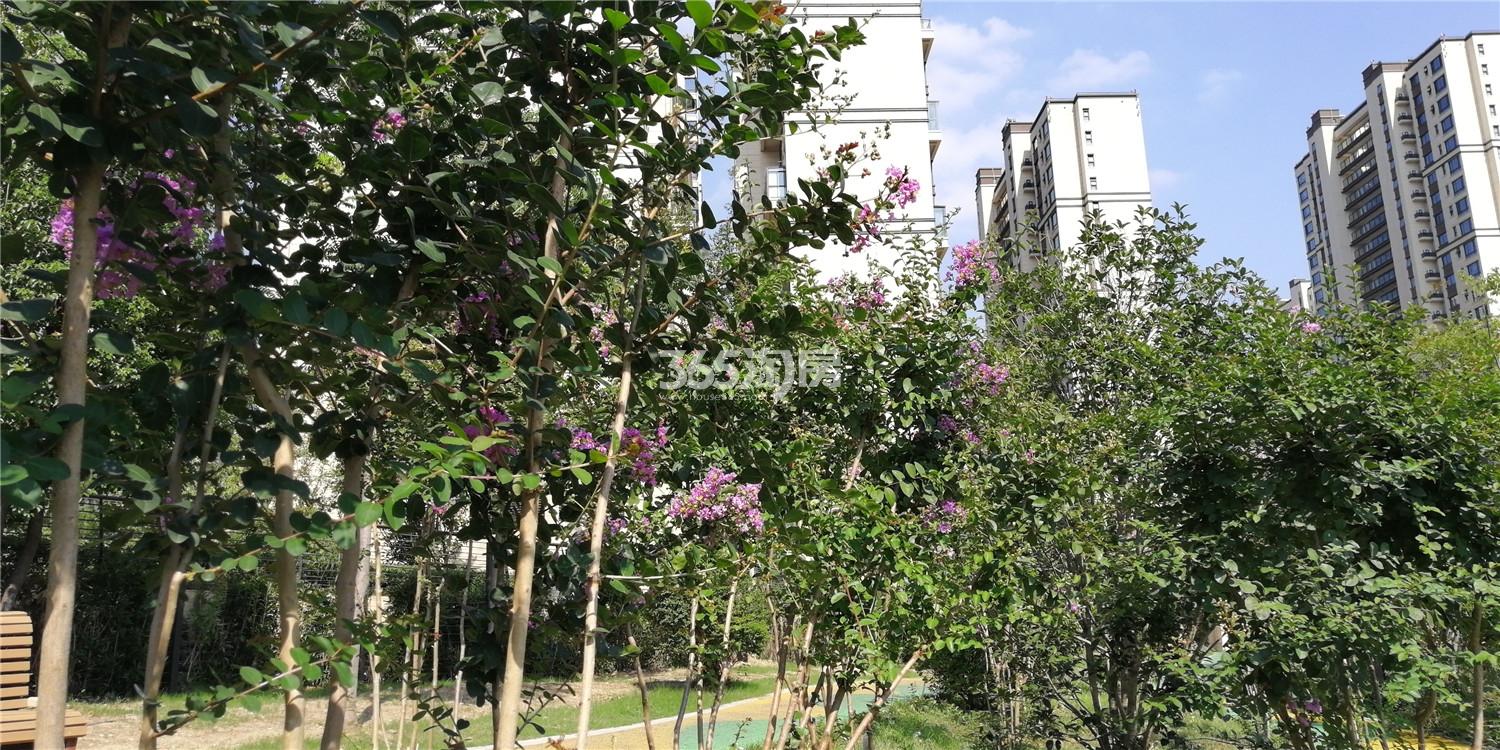 龙湖春江郦城小区大门（8.23）_南京龙湖春江郦城_南京新房网_365淘房