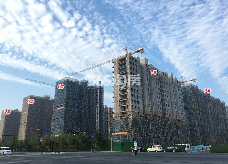 阳光城未来悦2、3、6-8号楼施工进程图（2018.9）