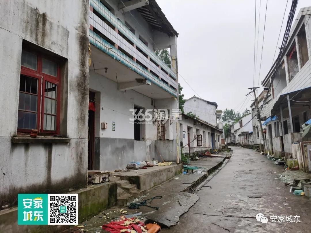 望东国际所属板块拆迁实景图（7.25）