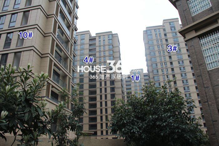 西溪海C组团1、3、4、10号楼施工进程（2015.4）