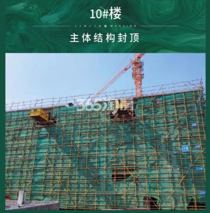 新希望滨江锦粼府10#施工实景图（2019年8月摄）