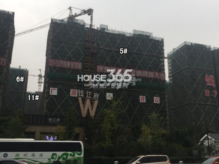 德信大家钱江府5、6、11号楼施工进度实景图 2015.9摄