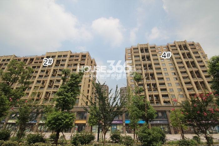 保利罗兰香谷2、4号楼施工实景图 2015年9月摄