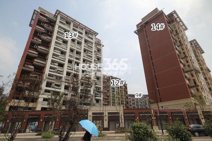 金地格林格林12、13、14号楼施工实景图 2015年9月摄