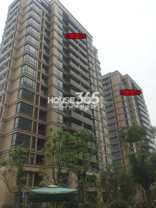 西溪海C组团1、2号楼施工进程图（2015.9）