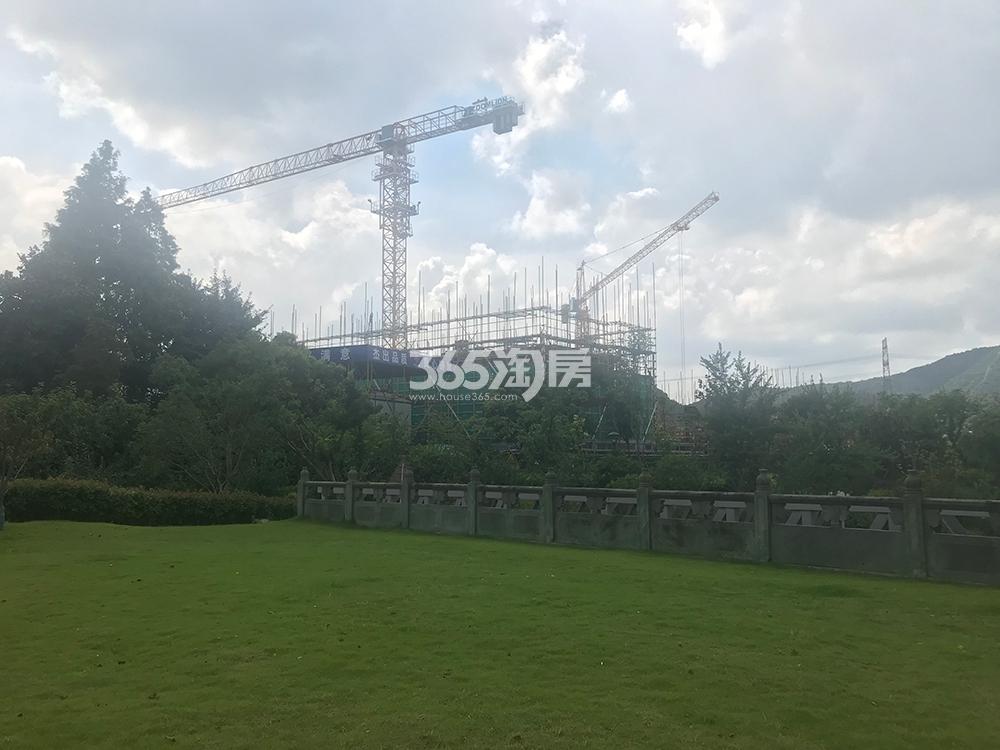 吟彩芳菲之城实景（2019.07）