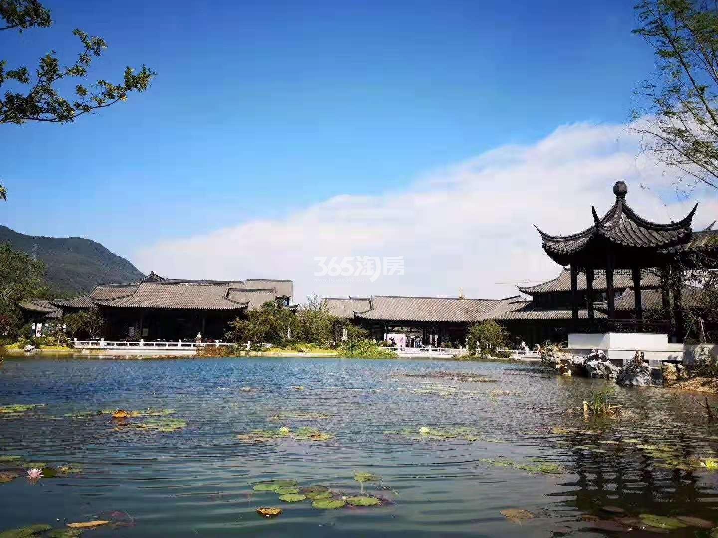 青云山居青云山居桃李春风实景（2019.03）
