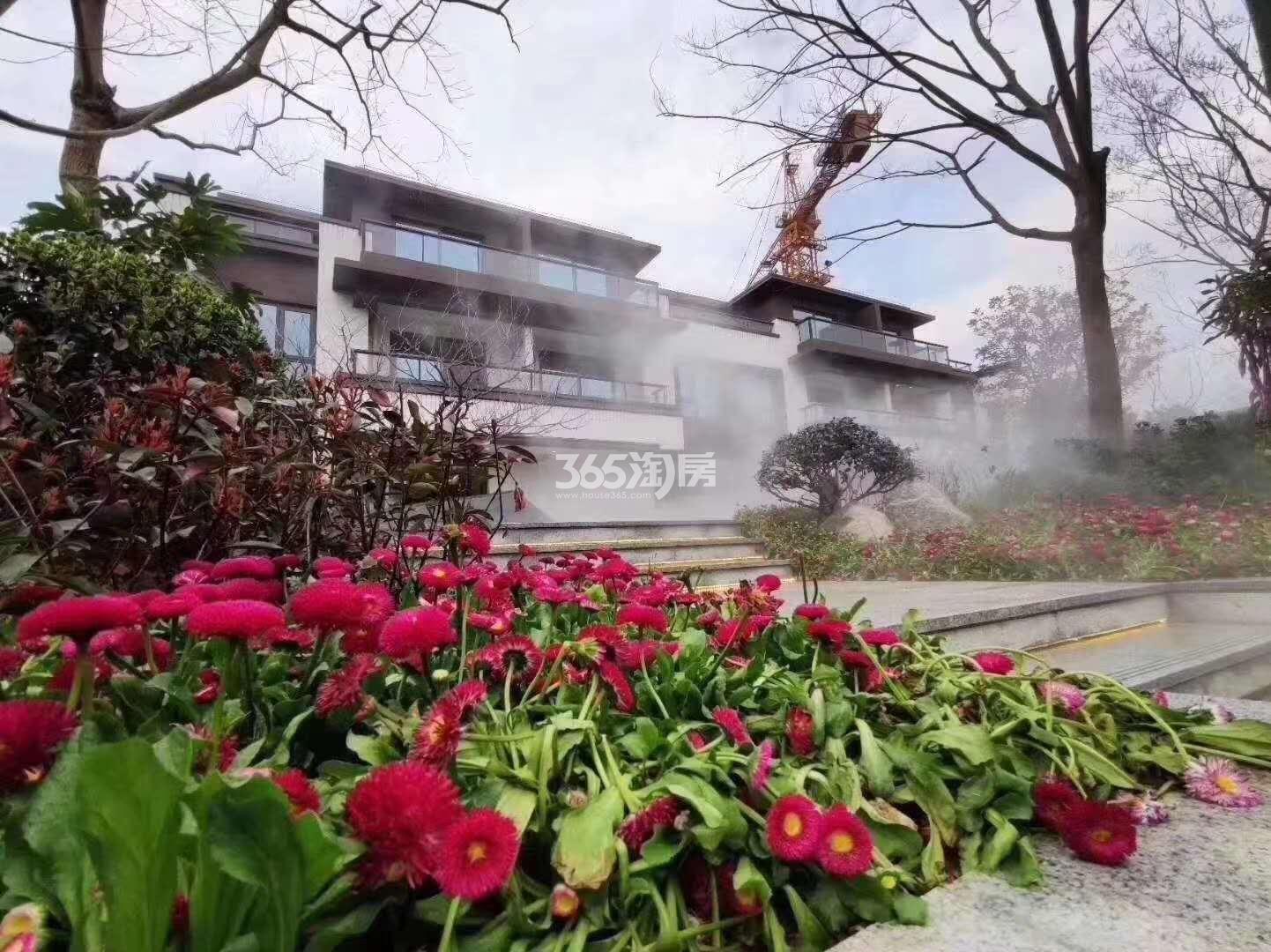 临栖云府排屋实景