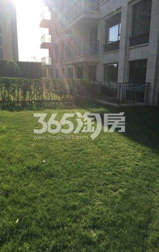 荷岸晓风样板间周边环境实景图2