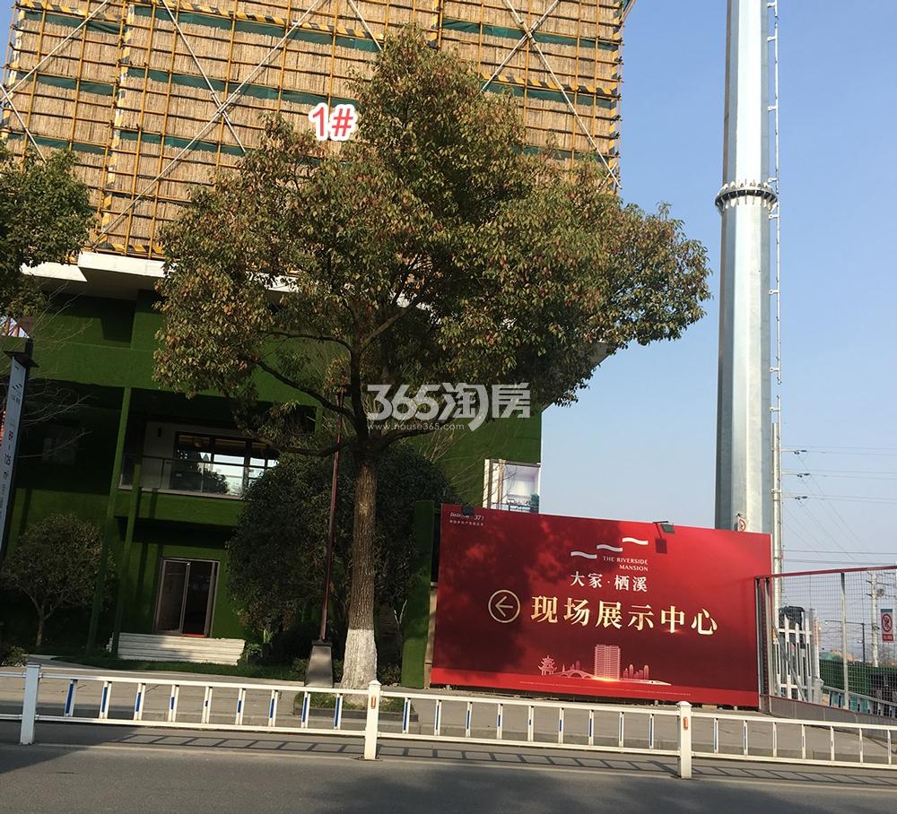 大家栖溪工程进展（2019.03）