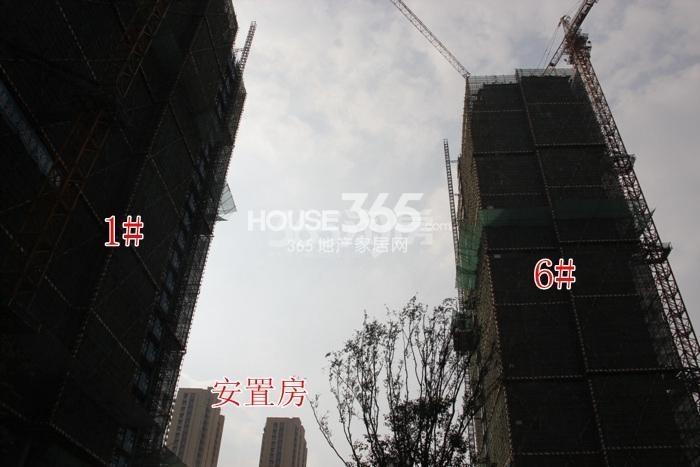 2015年10月越秀星汇悦城项目实景--1、6号楼
