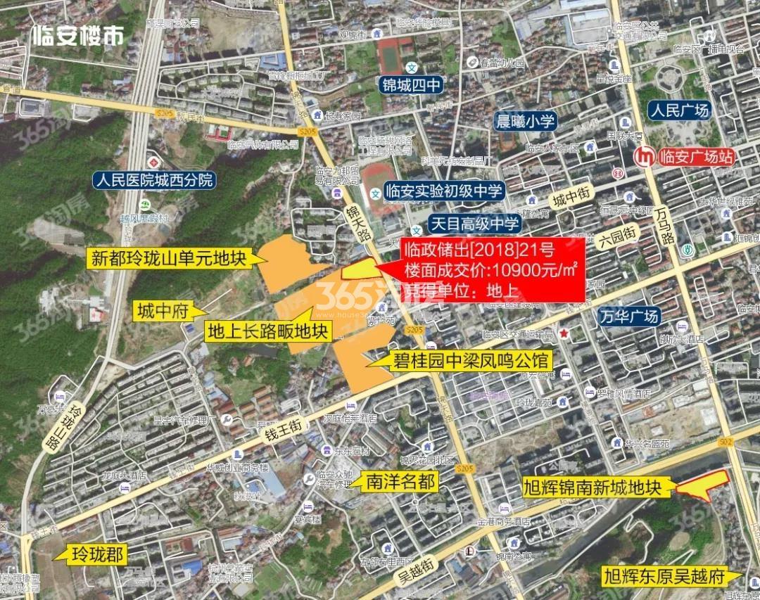 临政储出[2018]21号地块区位图