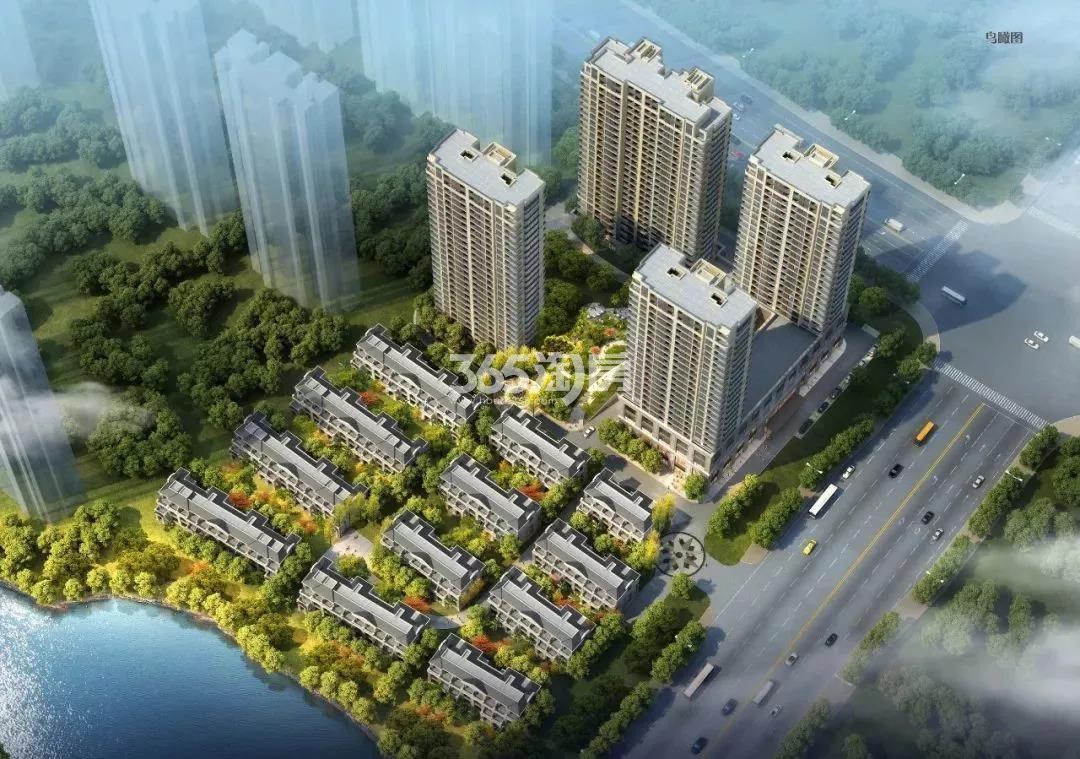 滨江碧桂园卧城印象最新动态