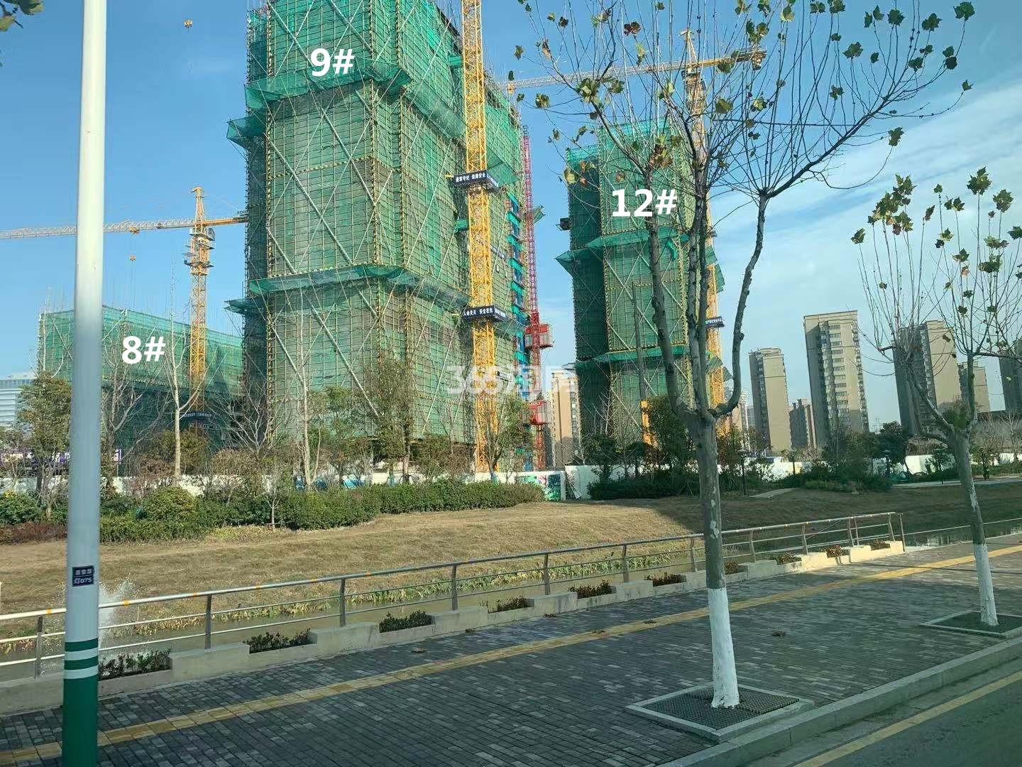 金樾府11、12号楼实景图(12.31)_南京金樾府(新城金陵樾)_南京新房网_365淘房