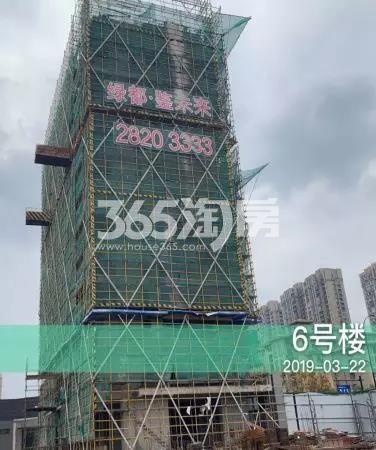 镜鉴未来府项目6号楼实景图（2019.3）