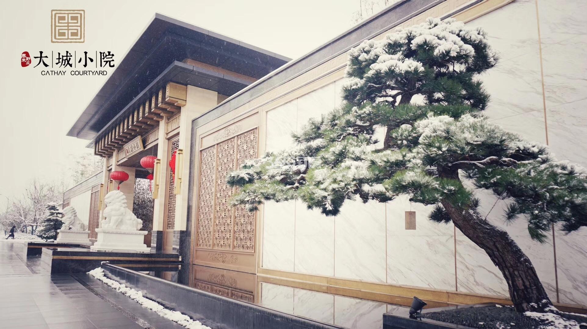 泰禾野风大城小院售楼处实景图 2018年1月摄