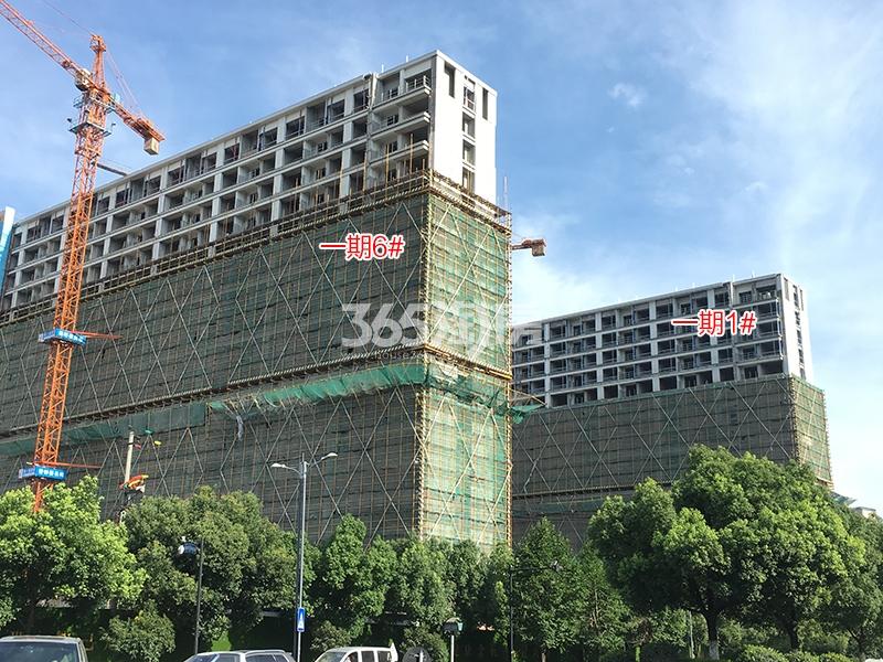 梧桐郡一期1、6号楼施工进程图（2018.6）