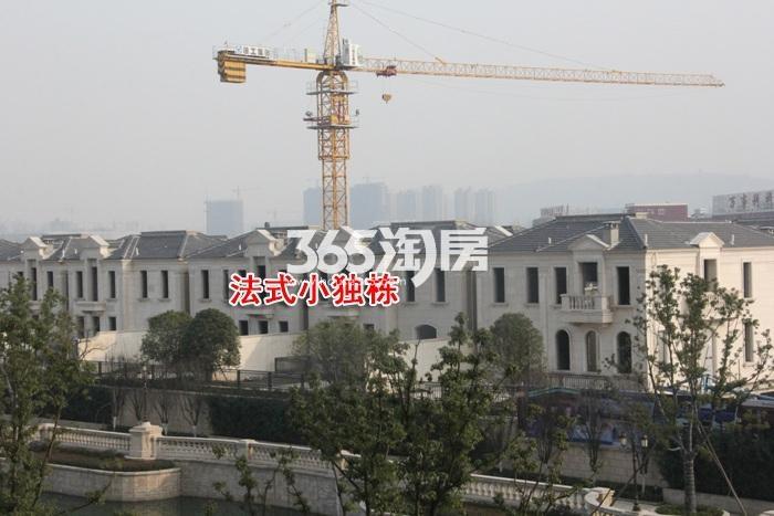 东晖龙悦湾项目法式独栋实景图（2016.1）