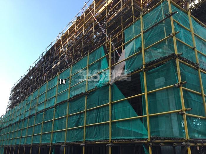 远洋万和四季1号楼施工实景图 2015年11月摄
