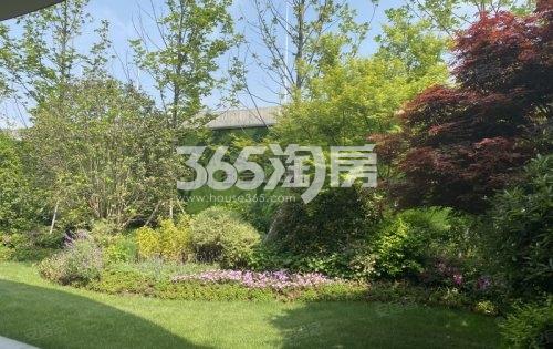 旭辉都会上品示范区实景（5.20）
