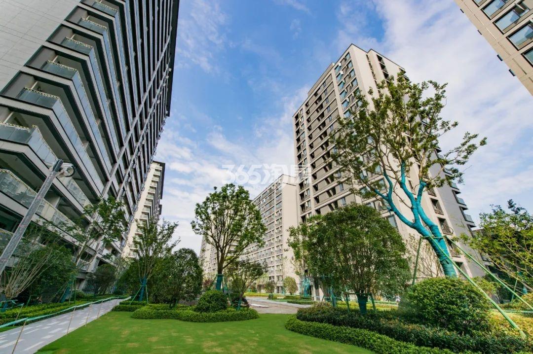 十锦台实景图