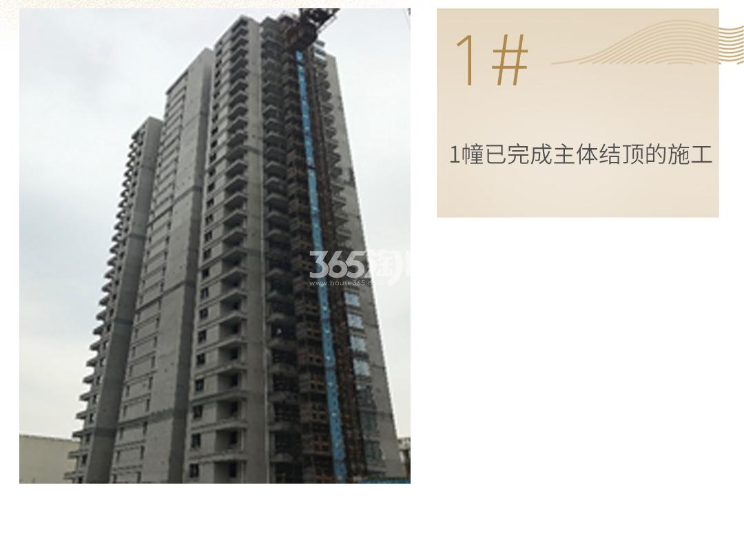 旭辉中粮朗香郡工程进度（2020.03）