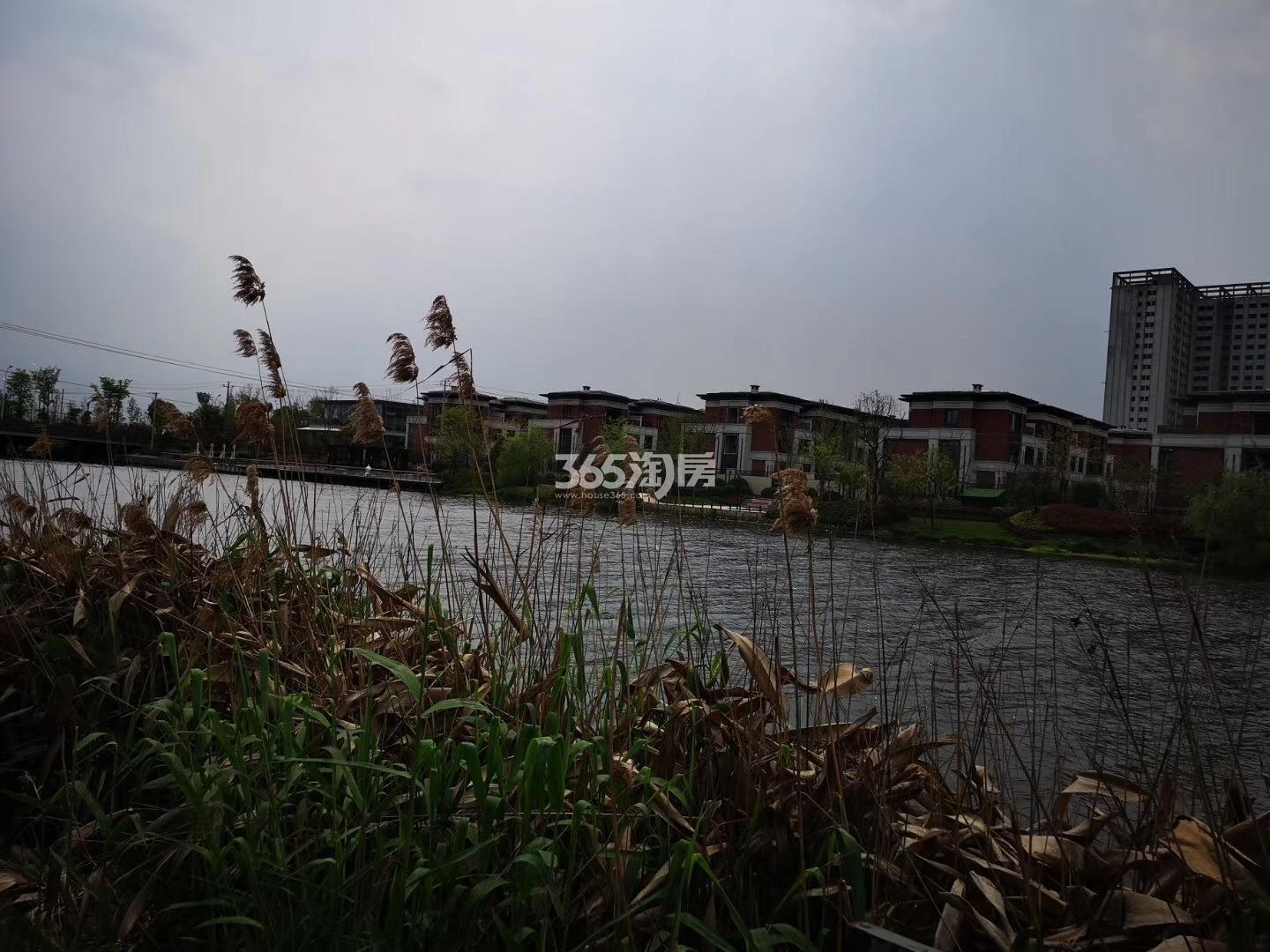 悦东方臻园傍晚景观河 2019年4月摄