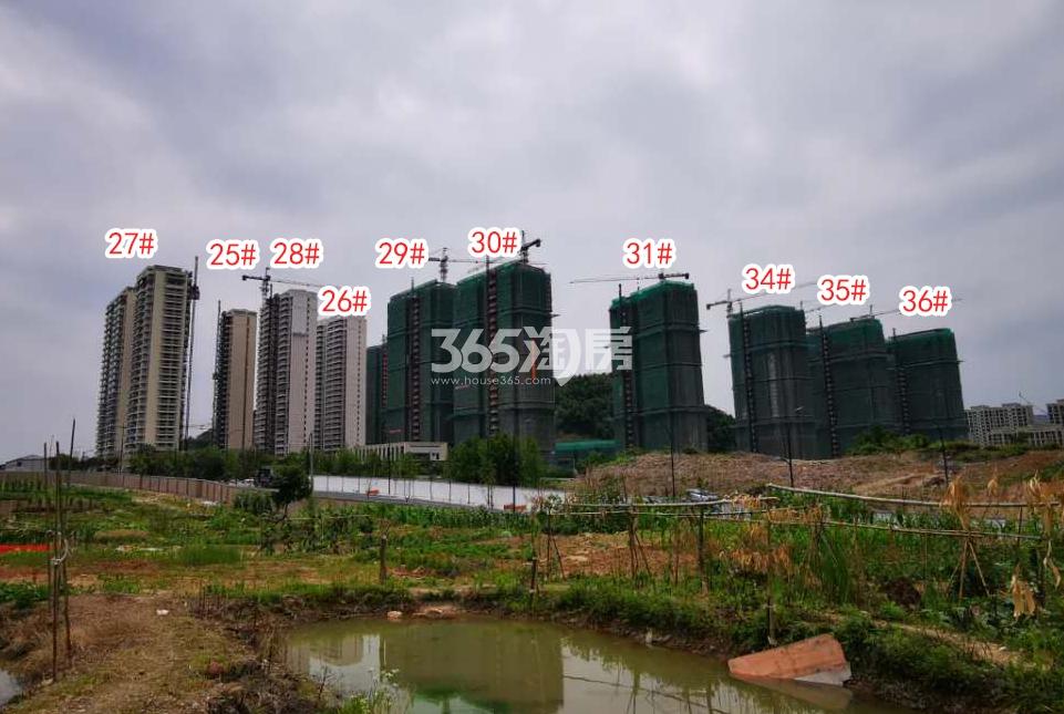 吴越府实景图（2019.06）