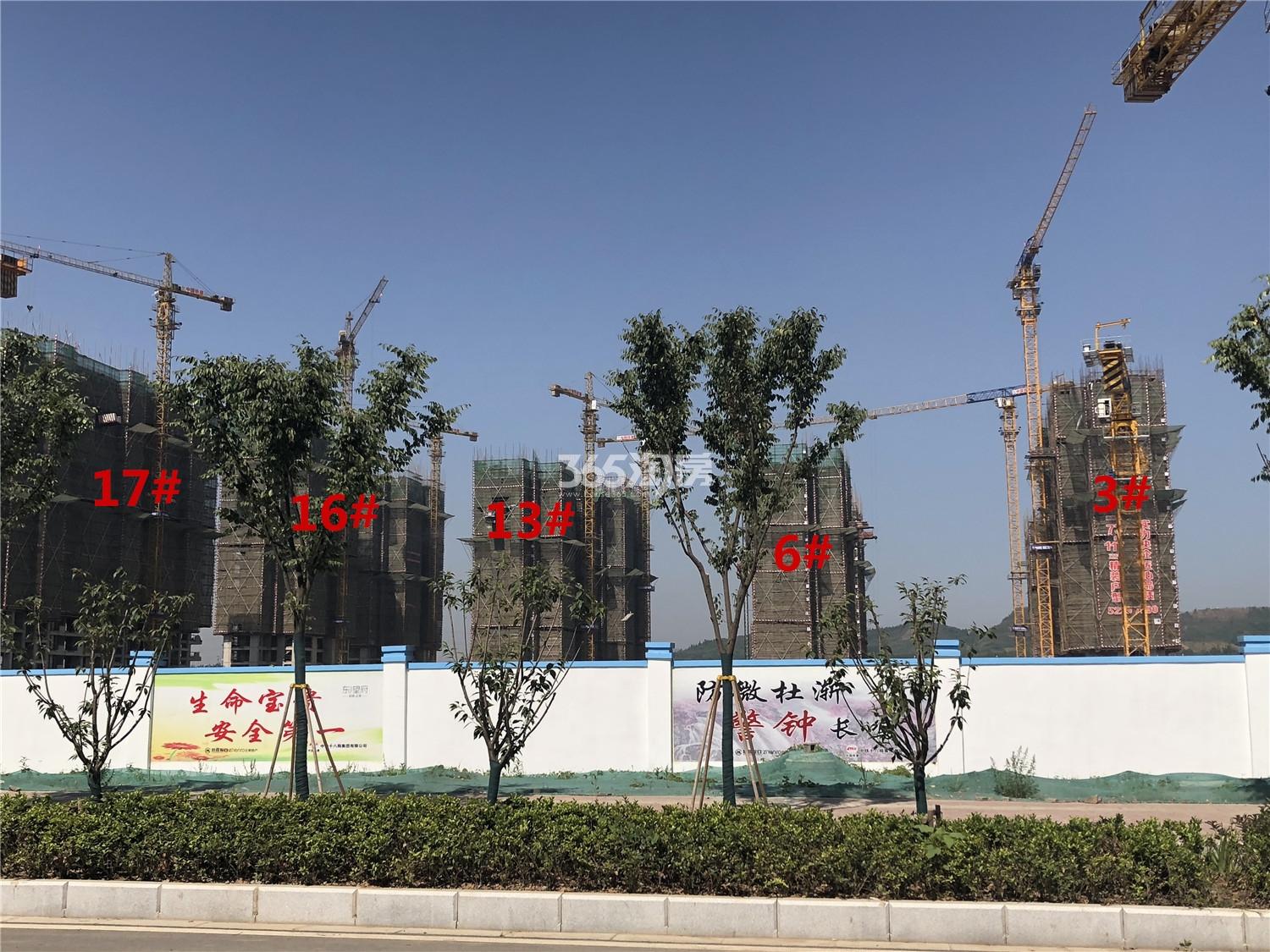 招商正荣东望府3、6、13、16、17号楼工程进展实景图（6.12）