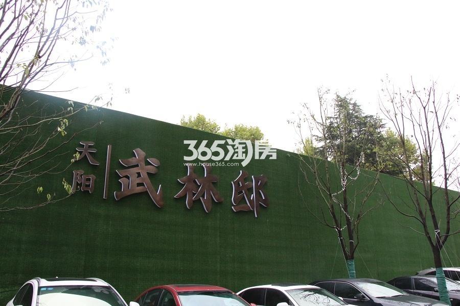 2017年初天阳武林邸项目售楼处外部围挡
