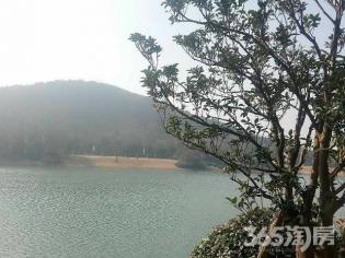 【汇金茅山福地别墅双拼实景世外桃源半岛看后边有联排别墅河图片