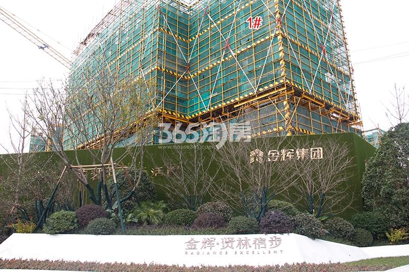 金辉贤林信步项目1号楼实景图（2017.12）