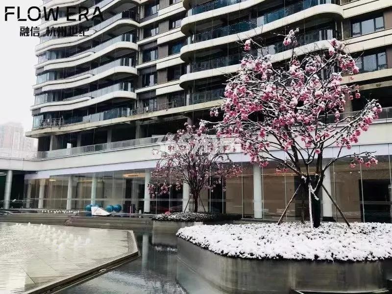 融信杭州世纪2018年12月雪景图