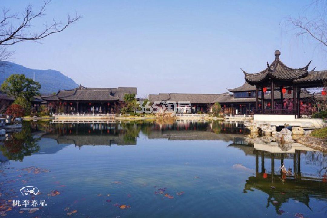 青云山居青云山居桃李春风实景（2020.03）