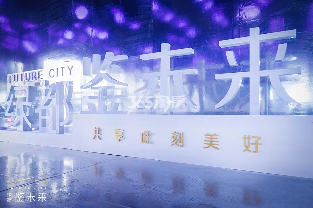 镜鉴未来府示范区现场实景（2018.12）