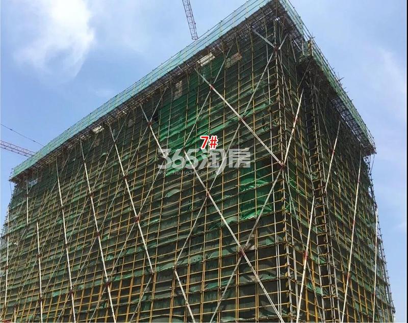山语凤鸣府7号楼施工进程（2019.6）