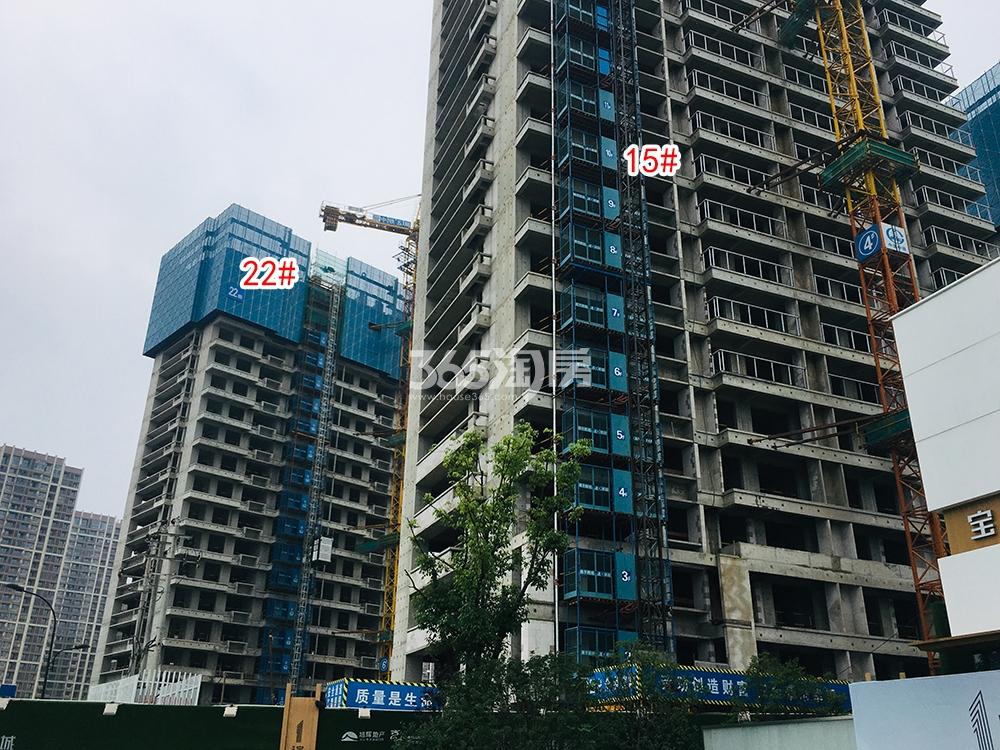 蔚宸悦城工程进展（2019.06）
