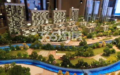 天鹅港华庭项目沙盘-住宅+景观绿化
