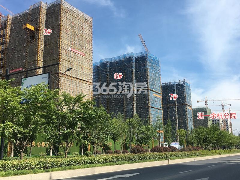 阳光城未来悦3、6、7号楼实景图（2018.7）