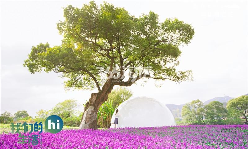 森与海之城未来国际生活示范区实景图