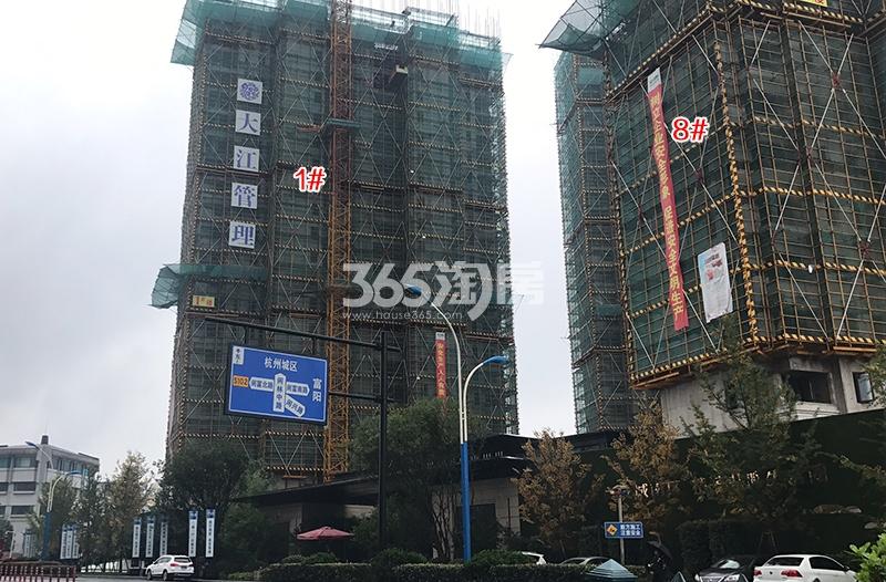 金辉贤林信步项目1、8号楼实景图（2018.5）