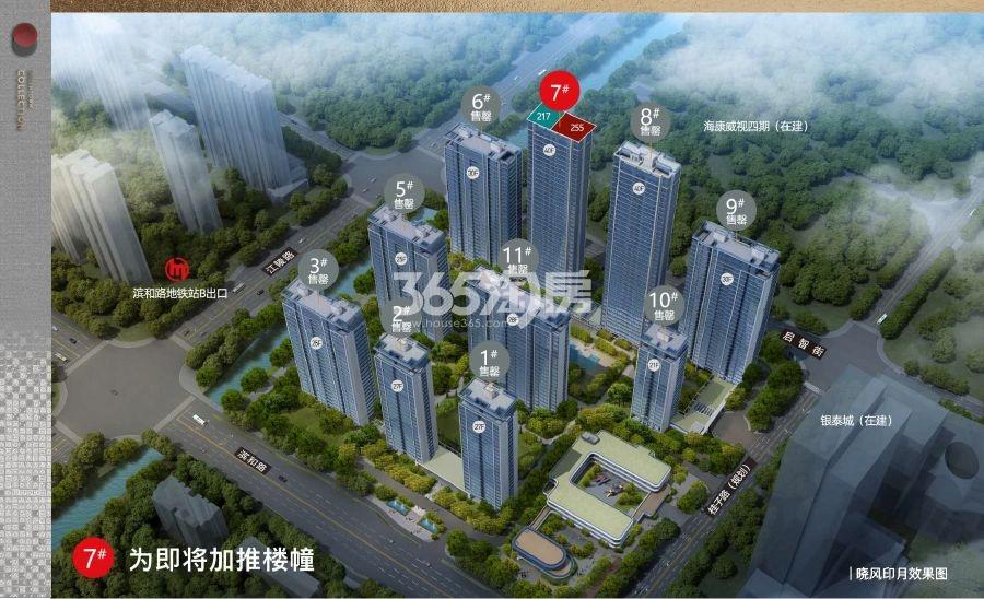 绿城晓风印月鸟瞰图