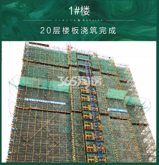 新希望滨江锦粼府1#施工实景图（2019年5月摄）