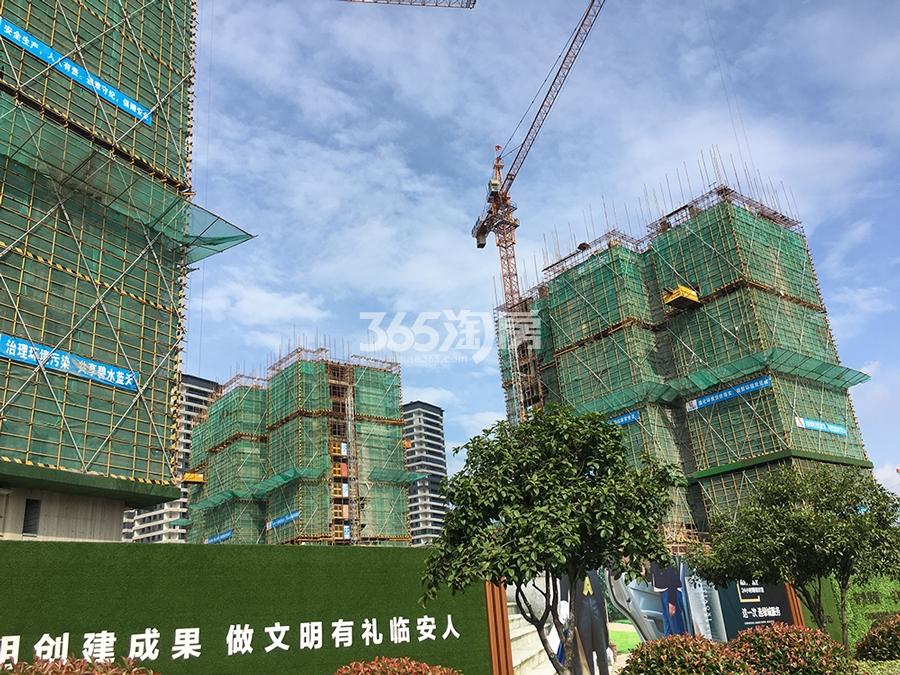 印象苕溪城城城6月实景