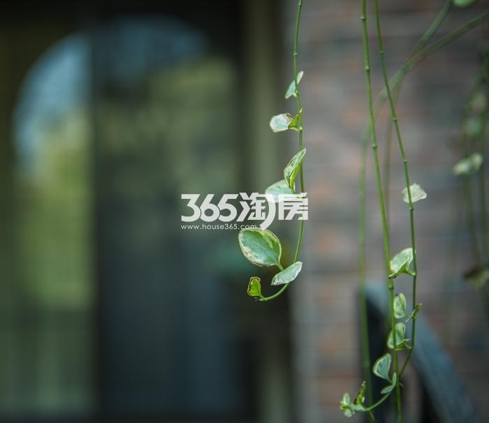 上林湖别墅景观实景图