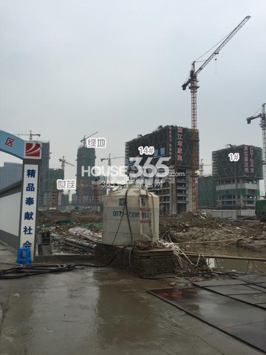 滨江华家池1、14号楼实景图 2015年6月摄