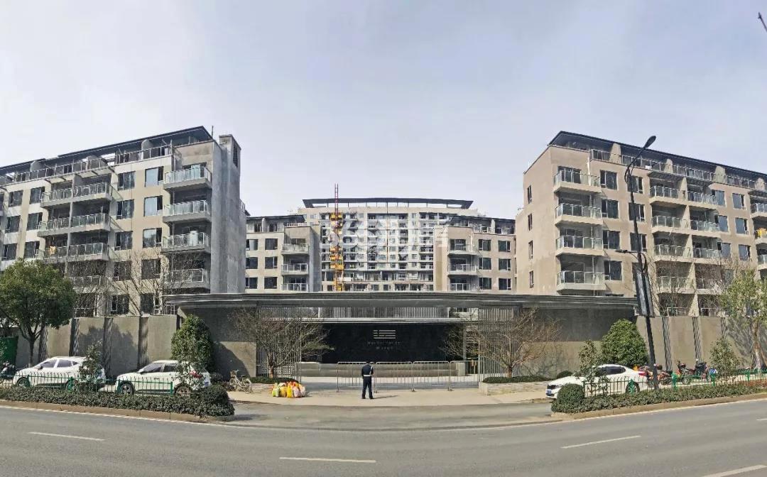 2019年3月崇杭街上拍摄远洋路劲上河宸章实景